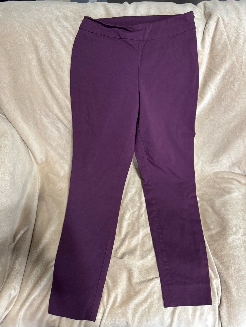 Time and Tru Dark Plum Stretch Ponte Leggings